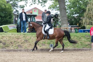 Bild 531 - Pony Akademie Turnier